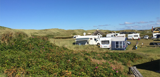 Camping fastligger Holmsland 520x250