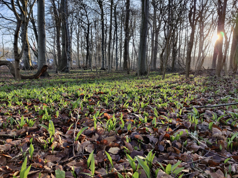 623363857_1307885221367110_7769416469814937009_n