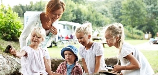 Camping ferie familie skov