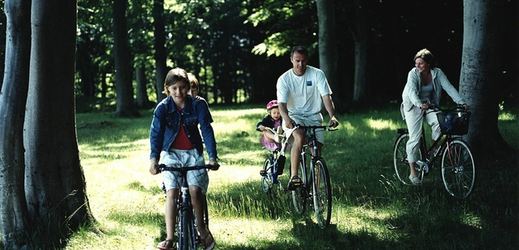 Cykeludlejning Trelde Naes